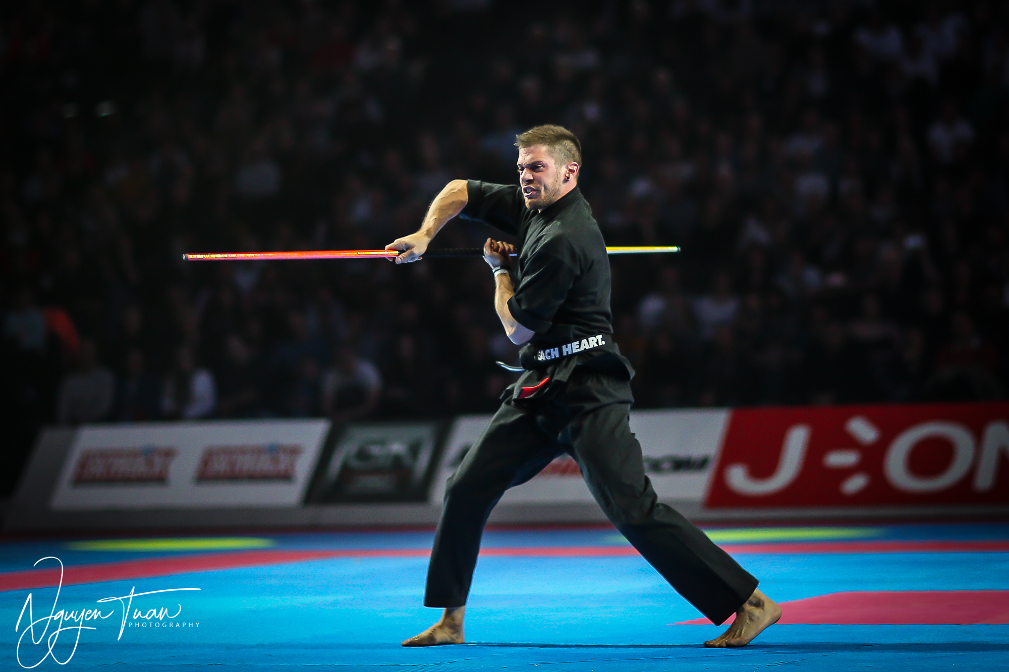 20190324 Festival des Arts Martiaux 4346